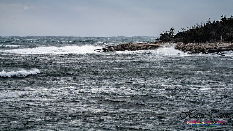 Late Fall Gale 115