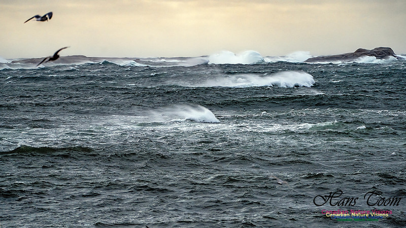 Late Fall Gale 117