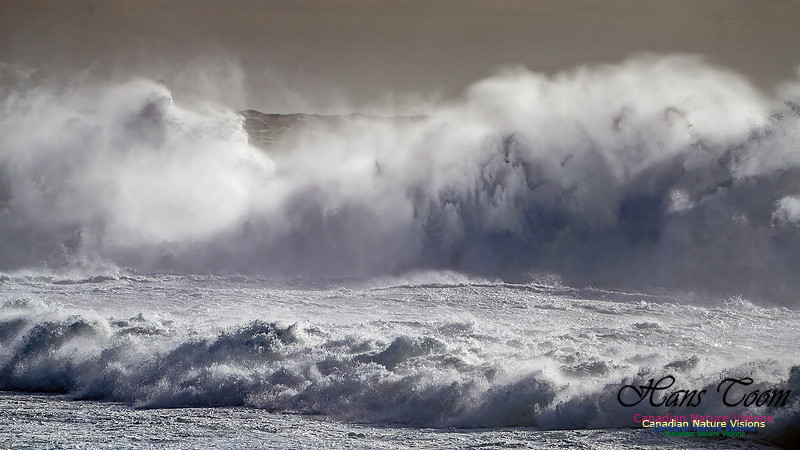 Late Fall Gale 118