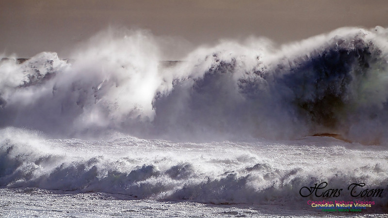 Late Fall Gale 119