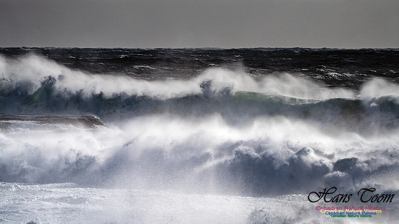 Late Fall Gale 122