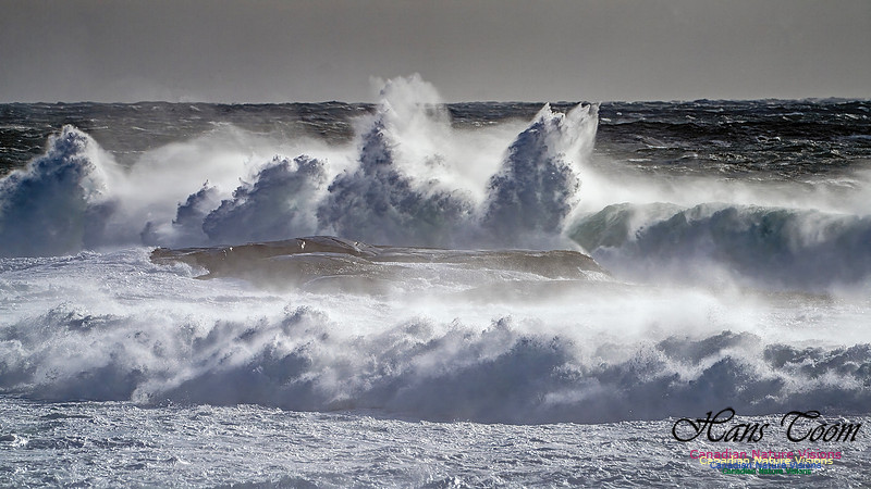 Late Fall Gale 121