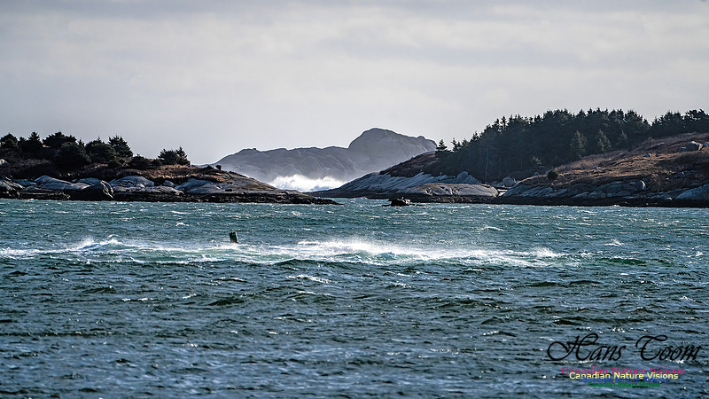 Late Fall Gale 123