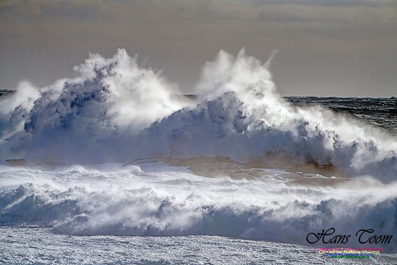 Late Fall Gale 120
