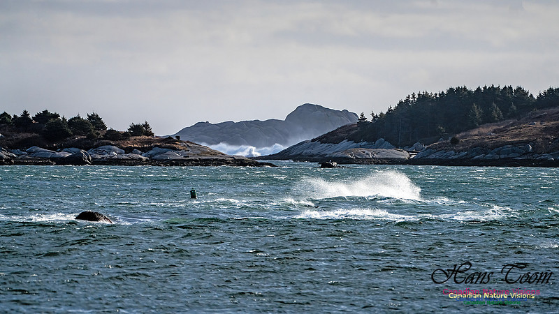 Late Fall Gale 124