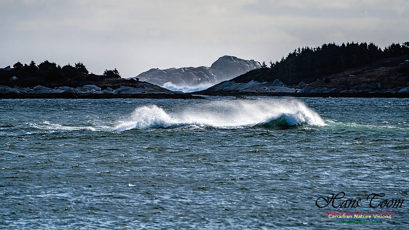 Late Fall Gale 125