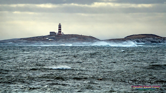 Late Fall Gale 128