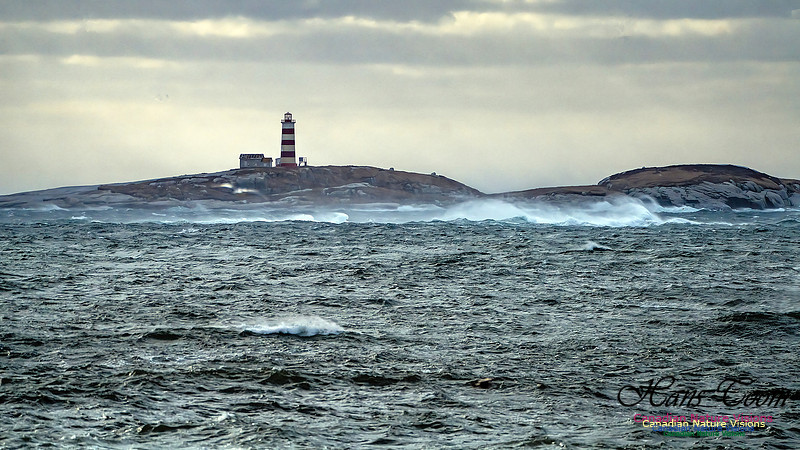 Late Fall Gale 128