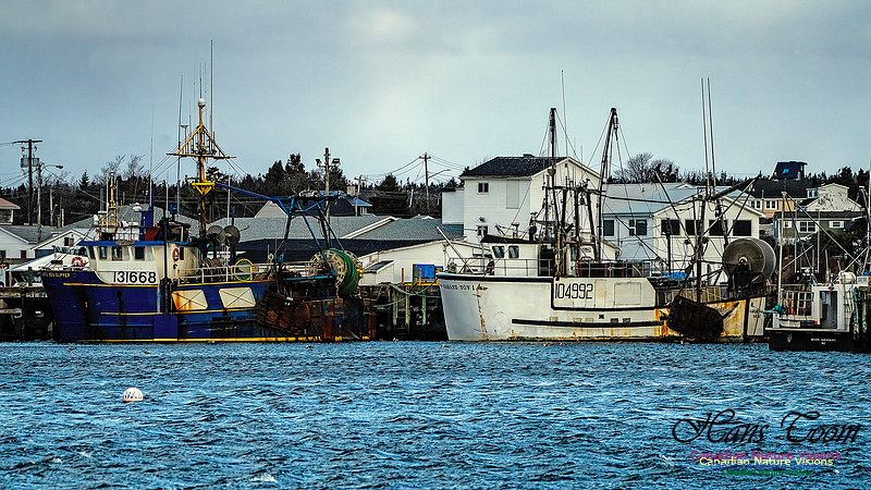 Late Fall Gale 127