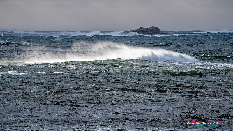 Late Fall Gale 131