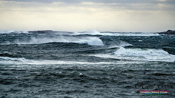 Late Fall Gale 101
