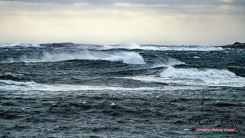Late Fall Gale 101