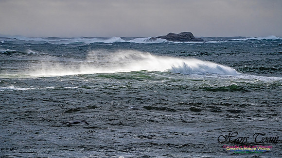 Late Fall Gale 132