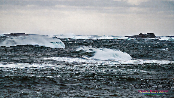 Late Fall Gale 102