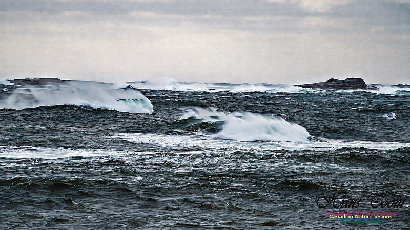 Late Fall Gale 102