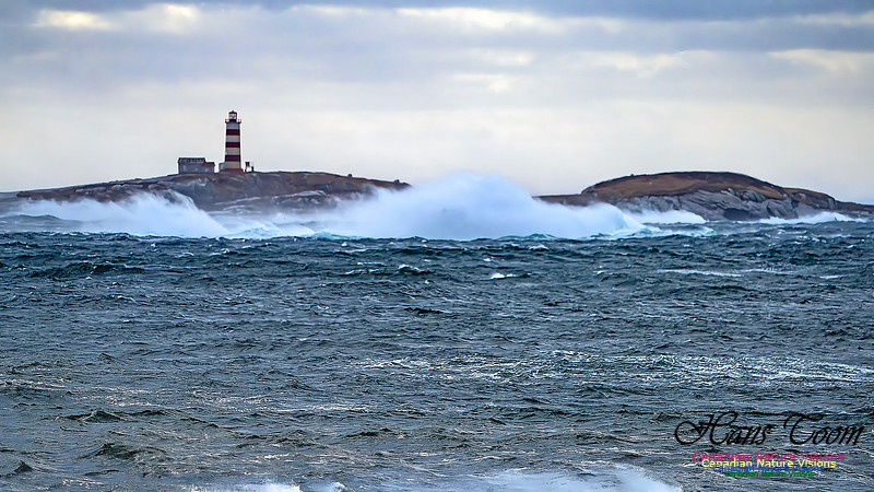 Late Fall Gale 103