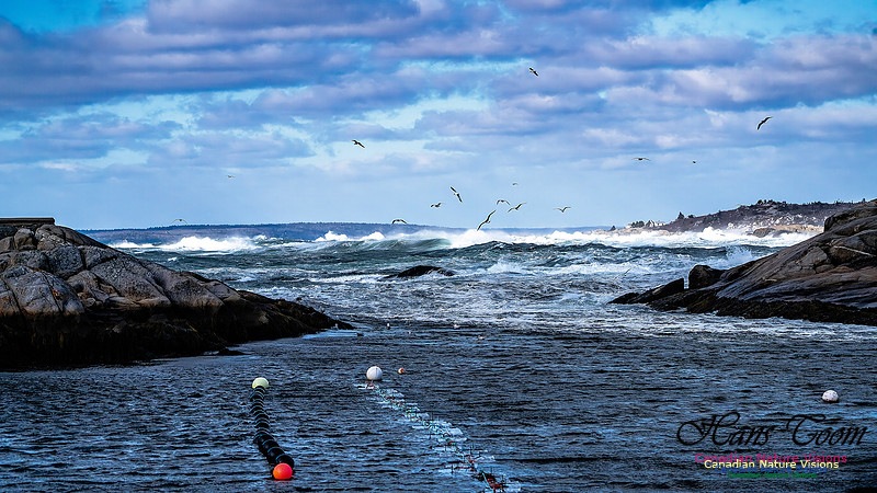 Late Fall Gale Series 2 127