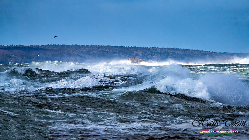Late Fall Gale Series 2 124