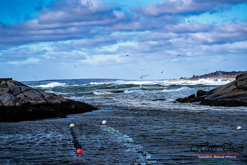 Late Fall Gale Series 2 128
