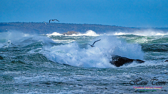 Late Fall Gale Series 2 125