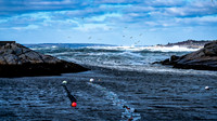 Late Spring Gale-Chebucto Peninsula-Series 2