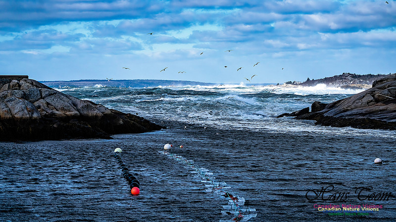Late Fall Gale Series 2 129