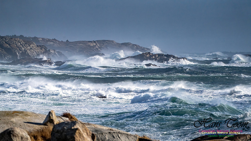 Late Fall Gale Series 2 134