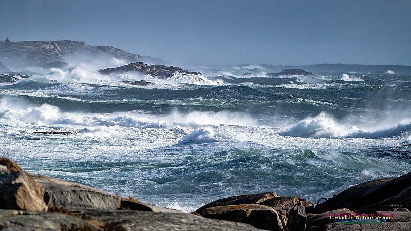 Late Fall Gale Series 2 135