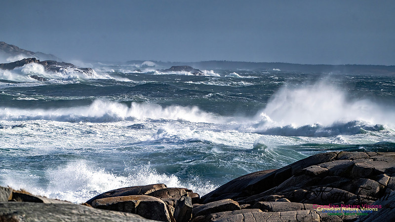 Late Fall Gale Series 2 136
