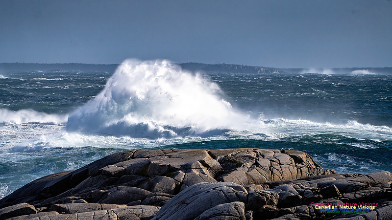Late Fall Gale Series 2 137