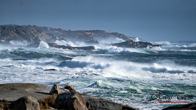 Late Fall Gale Series 2 142