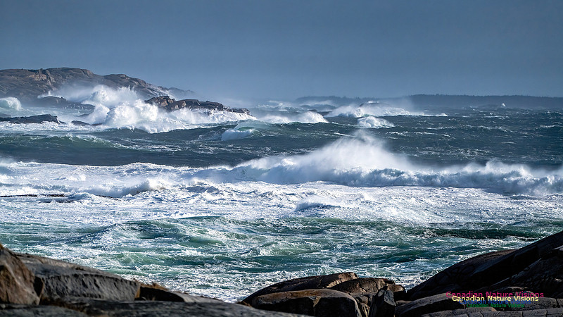 Late Fall Gale Series 2 144