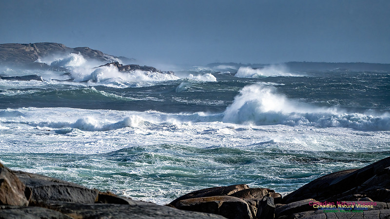 Late Fall Gale Series 2 145