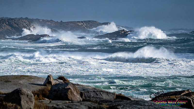 Late Fall Gale Series 2 146