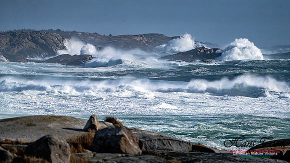 Late Fall Gale Series 2 147
