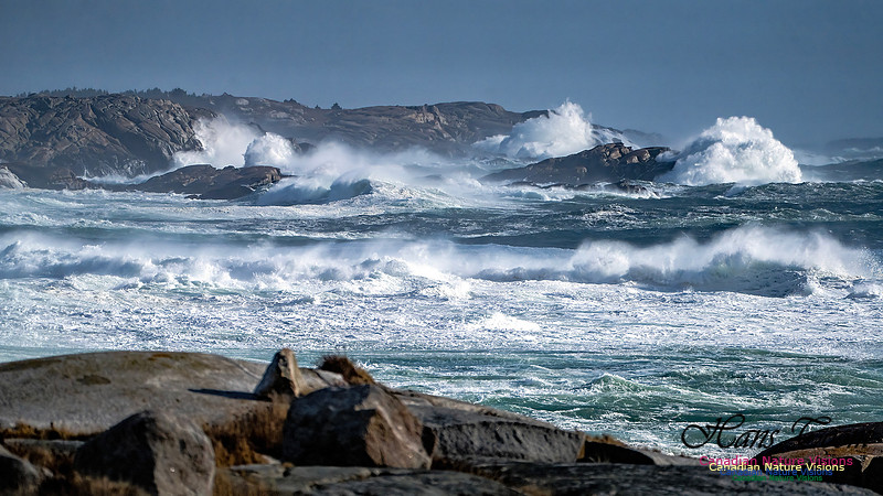 Late Fall Gale Series 2 147