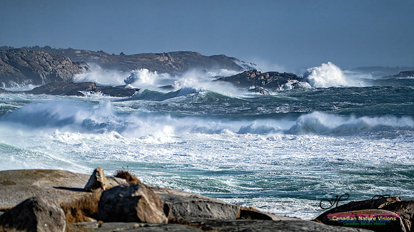 Late Fall Gale Series 2 148