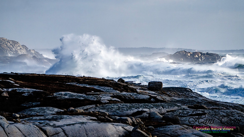 Late Fall Gale Series 2 100