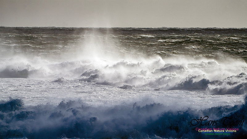 Late Fall Gale Series 2 101
