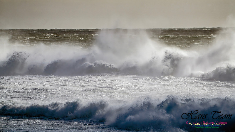 Late Fall Gale Series 2 102