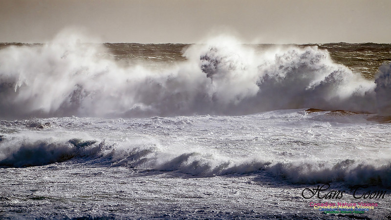 Late Fall Gale Series 2 103