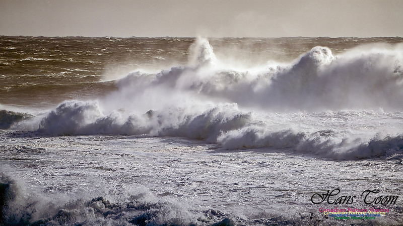 Late Fall Gale Series 2 105