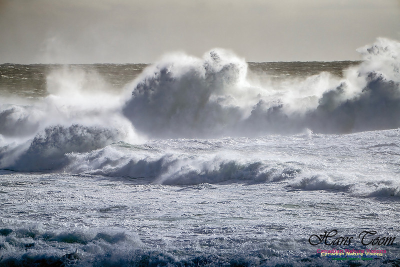Late Fall Gale Series 2 104