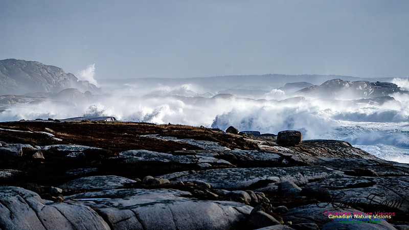 Late Fall Gale Series 2 107