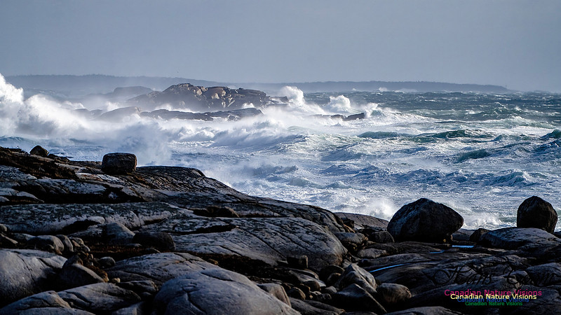 Late Fall Gale Series 2 106
