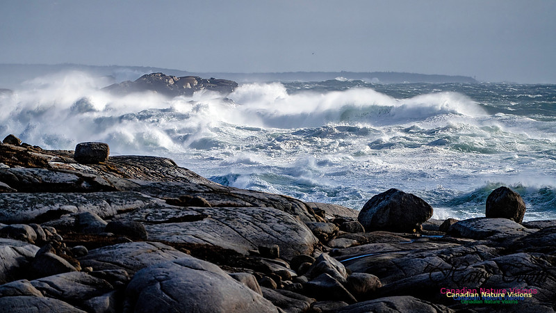 Late Fall Gale Series 2 110