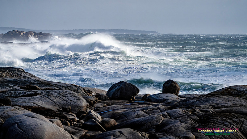Late Fall Gale Series 2 109
