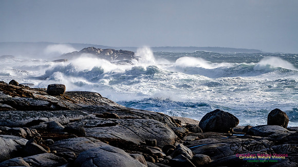 Late Fall Gale Series 2 111