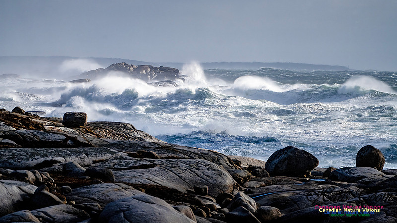 Late Fall Gale Series 2 111