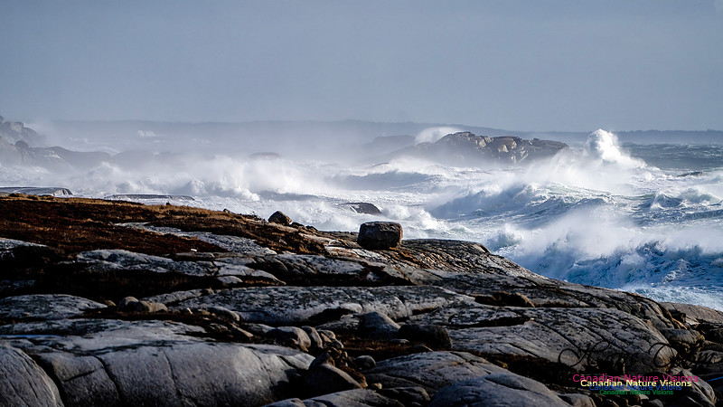 Late Fall Gale Series 2 112